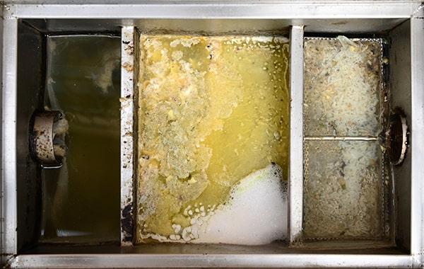 delaying regular grease interceptor cleaning can cause plumbing problems, foul odors, and health code violations